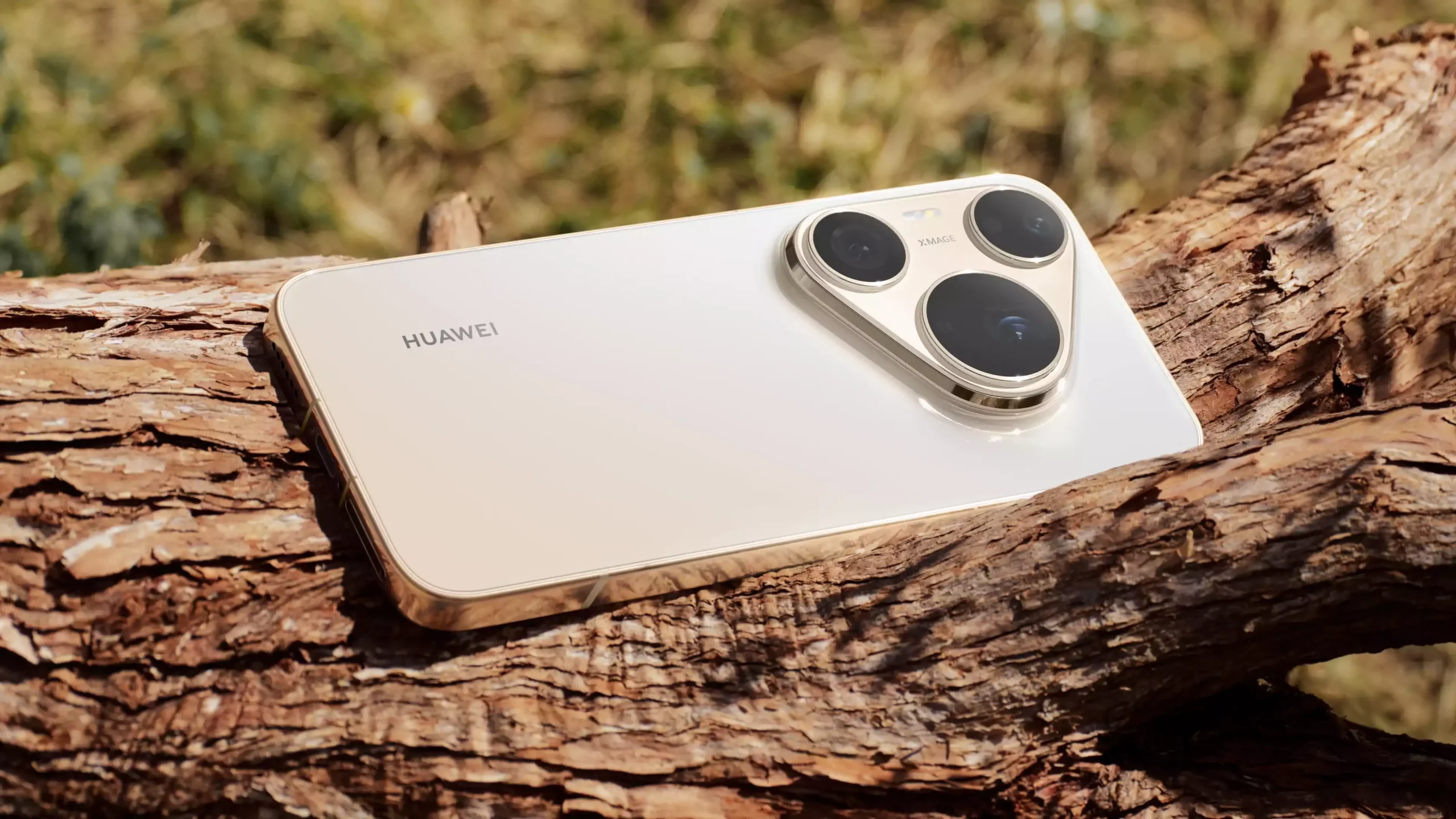 Huawei Pura 90 Plus avrà una fotocamera con sensore da un pollice e un display da 6,8 pollici