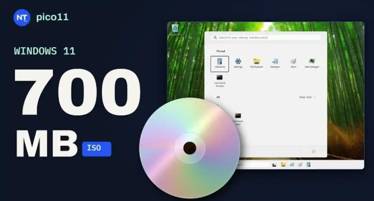 Presentata Pico11, Windows 11 ridotta che usa 883 MB di RAM